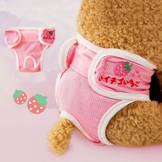Pet Dogs Menstruation Safety Pants / Casual Reusable Breatha