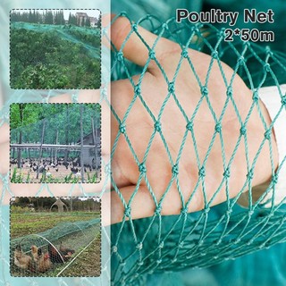 2*50m Chicken Net Crops Protective Fencing Mesh Poultry Net