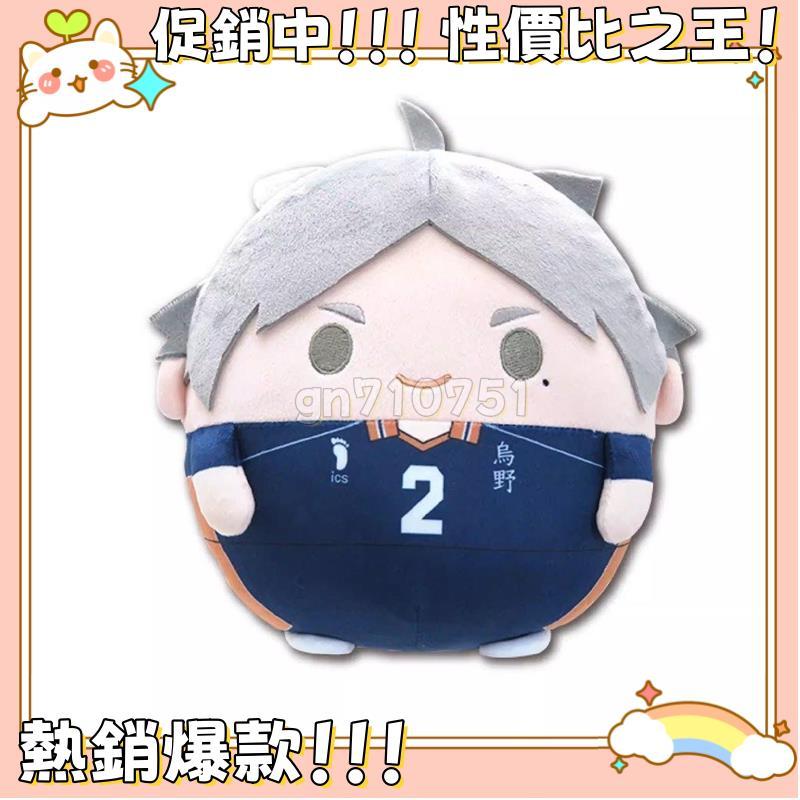 🔥熱銷精品🔥排球少年 影山飛雄 日向翔陽 及川徹 影山飛雄 菅原孝支 棉花 娃娃 吊飾 玩偶 公仔 周邊
