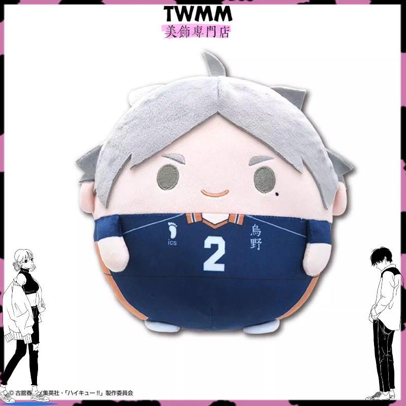 本島出貨🚗排球少年 影山飛雄 日向翔陽 及川徹 影山飛雄 菅原孝支 棉花 娃娃 吊飾 玩偶 公仔 周邊G