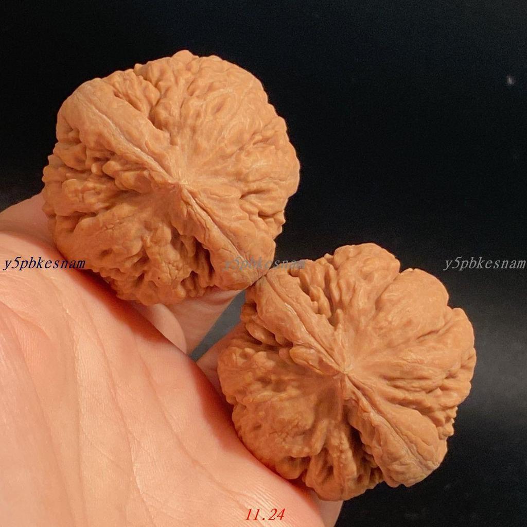 核桃霸王龍的價格推薦- 2026年5月| 比價比個夠BigGo