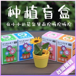 【開學好物】兒童DIY手工 挖呀挖 植物盲盒 小學生禮物 桌面觀察 種子發芽 栽培 植物 盲盒 seed