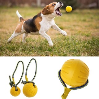 Pet Dog Training Toy Ball Dog Rubber Ball Chew Bite Resistan