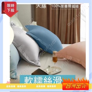 【桃園出貨】100支高級天絲冰涼感抱枕套100%萊賽爾纖維夏天65x65 60x60 床上大靠枕床頭靠背套抱枕套203