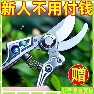 臺灣出貨🚆德國加厚SK5修枝剪強力園藝剪刀原裝耐用樹枝剪園林專用果樹剪刀 PMXU
