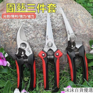臺灣出貨24h進口SK5不銹鋼園藝剪刀修枝剪樹枝剪防鏽修枝剪果枝剪採果剪刀 花枝剪刀 剪樹枝專用 農用花藝剪 園藝修枝器