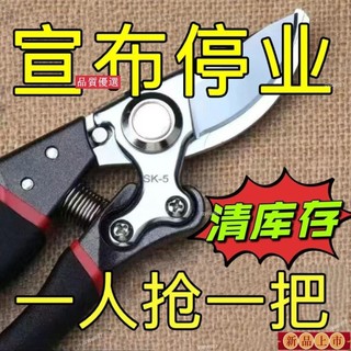 🔥臺灣熱賣/免運🔥修枝剪樹剪子果樹剪強力果樹傢用修剪專用花木SK5園藝剪刀 剪刀 修枝剪 高枝剪 花藝剪刀 園藝工具