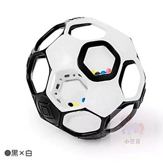 新品上市 Kids II-OBALL沙沙洞動黑白足球 洞動球固齒器 抓握玩具 手眼協調 公司貨 小豆苗