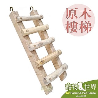 《寵物鳥世界》台灣製 原木樓梯 │鸚鵡 小型中小型中型鳥 天然實木 鳥用啃咬玩具 攀爬樓梯 休憩平台 AP020