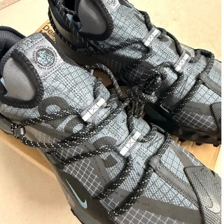 ［全新］Nike ACG Mountain Fly Low GTX SE 登山慢跑鞋
