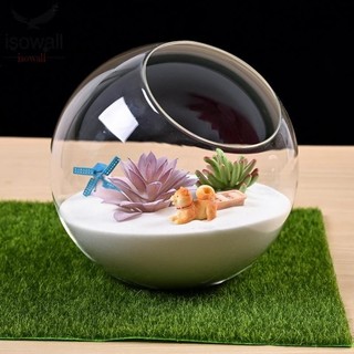 Celebration Christmas Bauble Balls Clear Glass Terrarium 8/1