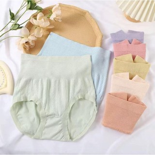 ( 7 Pcs / Pack ) Women's Plus size High Waist Colourful Seam