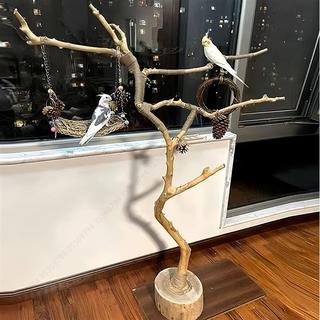 【🔥臺灣出貨🔥實木鸚鵡站架】樹枝鳥站架 原木鳥站架 鳥站架 樹枝 樹桿 鸚鵡站架 樹幹 原木站桿 樹杈 鞦韆 鳥籠 實木