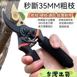 台灣出貨🎊SK5 樹枝剪 園藝剪 花剪 園藝剪刀 修枝剪 高枝剪 修花剪刀 果樹剪 園藝工具 花藝剪刀 修枝剪花藝園林