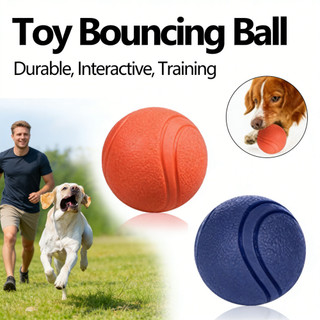 Interactive Bouncing Durable Training Ball for Durable Pet T
