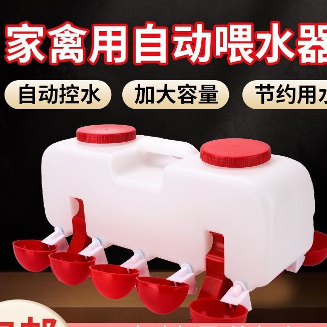 小雞餵食器 家禽自動餵食器 飼料桶餵食器 雞用家禽自動飲水器水碗自動喂水器小雛雞鴨鴿子鵪鶉喝水碗水桶壺