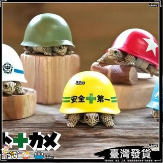 臺灣發貨💝零漣爬蟲 烏龜安全帽龜安全帽 水族創意造型 寵物創意玩具FSDF