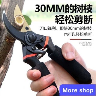 🩵👒More shop粗枝剪刀 樹枝剪 修花剪刀 SK5 園藝剪 花剪 園藝剪刀 修枝剪 高728