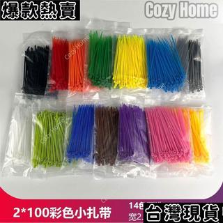 台灣發貨🚚 小號尼龍紮帶 2x100 彩色塑膠束線帶 2.5mm 寬 10cm長 藍紅黃綠橙黑白實用 束線帶 自鎖式束