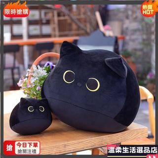 📦可愛 黑貓 抱枕 貓咪小貓 午睡 二次元 貓咪 動物 超柔軟 小貓 抱枕 玩偶 娃娃 生日禮物 情人節禮物 聖物📦