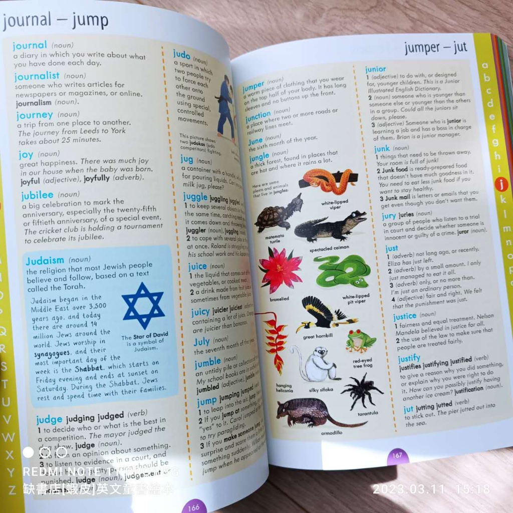 Junior Illustrated English Dictionary and Thesaurus全彩快速記單字 QUESHU