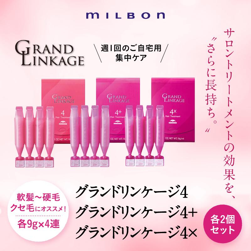 日本直郵  日本milbon玫麗盼 Deesse's哥德式 沙龍級柔漾三段式護髮第四劑 4 4+ 4x 兩盒價格