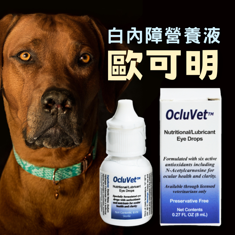 🐶🐱【一嘴毛】❤️ OcluVet歐可明 動物專用白內障營養液 ⭑ 動物專用滴眼液 16ml
