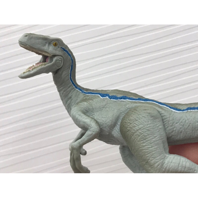 ｛克拉克玩具｝TAKARA TOMY JURASSIC WORLD ANIA侏羅紀世界 迅猛龍 小藍