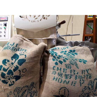 咖啡生豆 月見野櫻花 Lot37 花香蜜茶 櫻花風味 蜜處理 古吉 衣索比亞 波雷克堤咖啡 每單限重4公斤