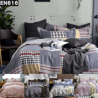 防蹣抗菌系列-100%純天絲 床包兩用被套四件組 日本大和防蟎抗菌 臺灣製 床包加高