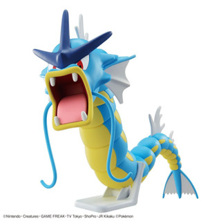 萬代 Pokemon寶可夢 PLAMO收藏集精選系列 vol.52暴鯉龍 代理組裝 現貨《動漫貨櫃玩具批發》