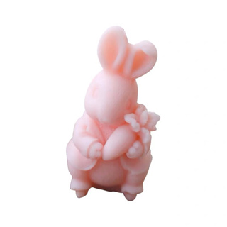 【美倫美】矽膠模 台灣出貨 矽膠模 3D小兔與紅蘿蔔立體矽膠模具 石膏 水泥 手工蠟燭 模具