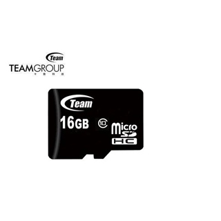 《SUN-LINK》十銓 Team 16G 16GB microSD TF C10 記憶卡