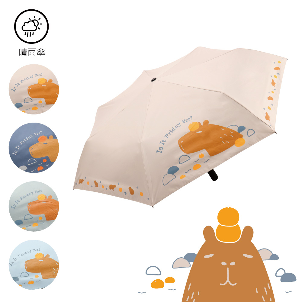 【大振豐洋傘】飛蘭蔻 蜜柑溫泉萌水豚 黑膠 自動開收傘