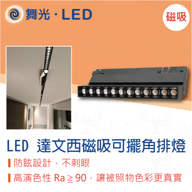 【貝利亞絕色】舞光 LED 達文西磁吸軌道可擺角排燈 12W 磁吸 軌道燈 排燈 窄角 可擺動 DC24V 需另配變壓器