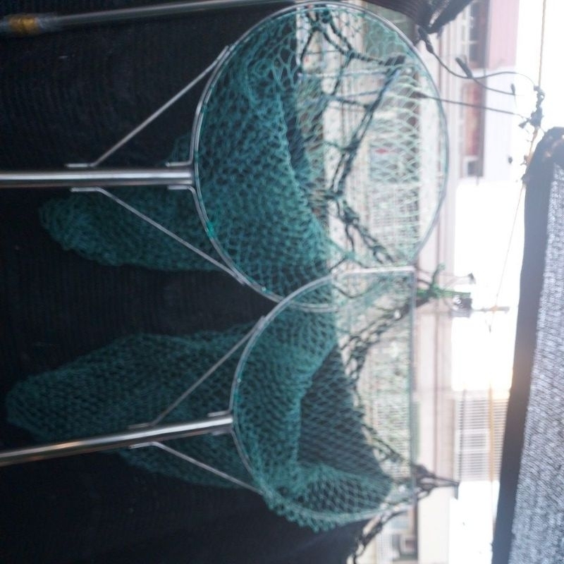 不繡綱撈網捕貓捕魚，魚塭專用網，也能捕貓救貓.雙框直徑50公分剛好不會很大、網目5元銅板大，桿5尺長，撈魚蝦