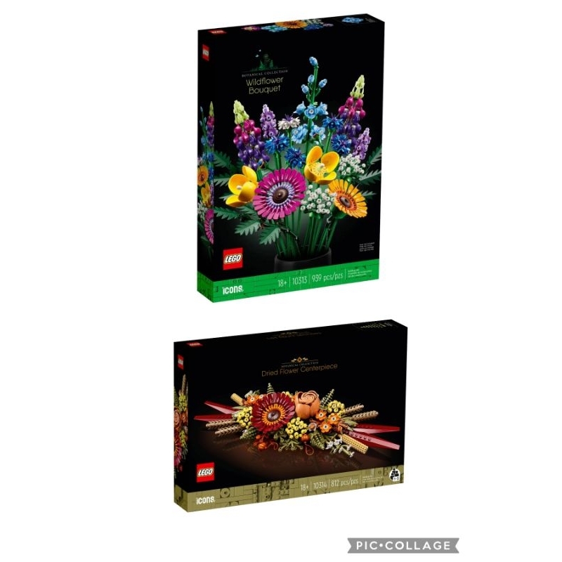 【ToyDreams】LEGO ICONS 10313 野花花束 vs.10314 乾燥花裝飾品