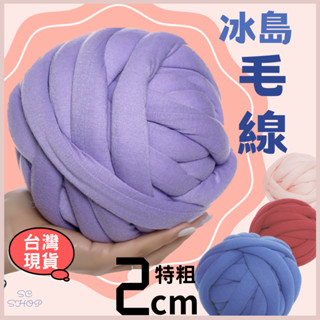 【臺灣現貨 免運】毛線編織 冰島毛線 粗毛線 灌心棉 2cm超粗毛線 毛線 包包DIY DIY手作 不用工具