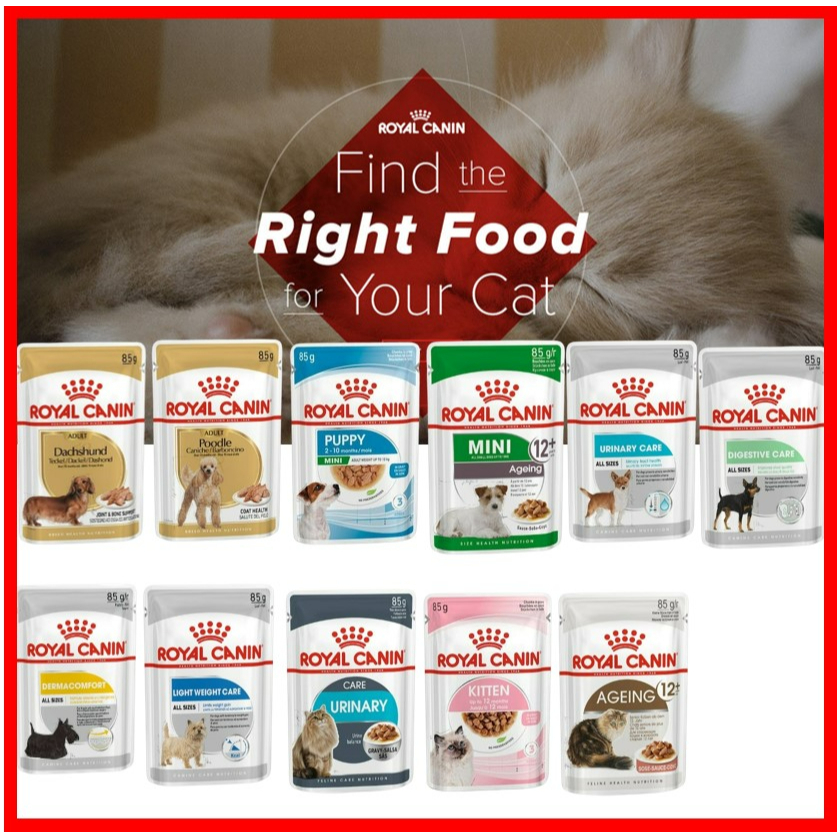 【ROYAL CANIN】法國皇家 皇家貓餐包 狗餐包 85g 犬濕糧 貓濕糧 主食 皇家濕糧