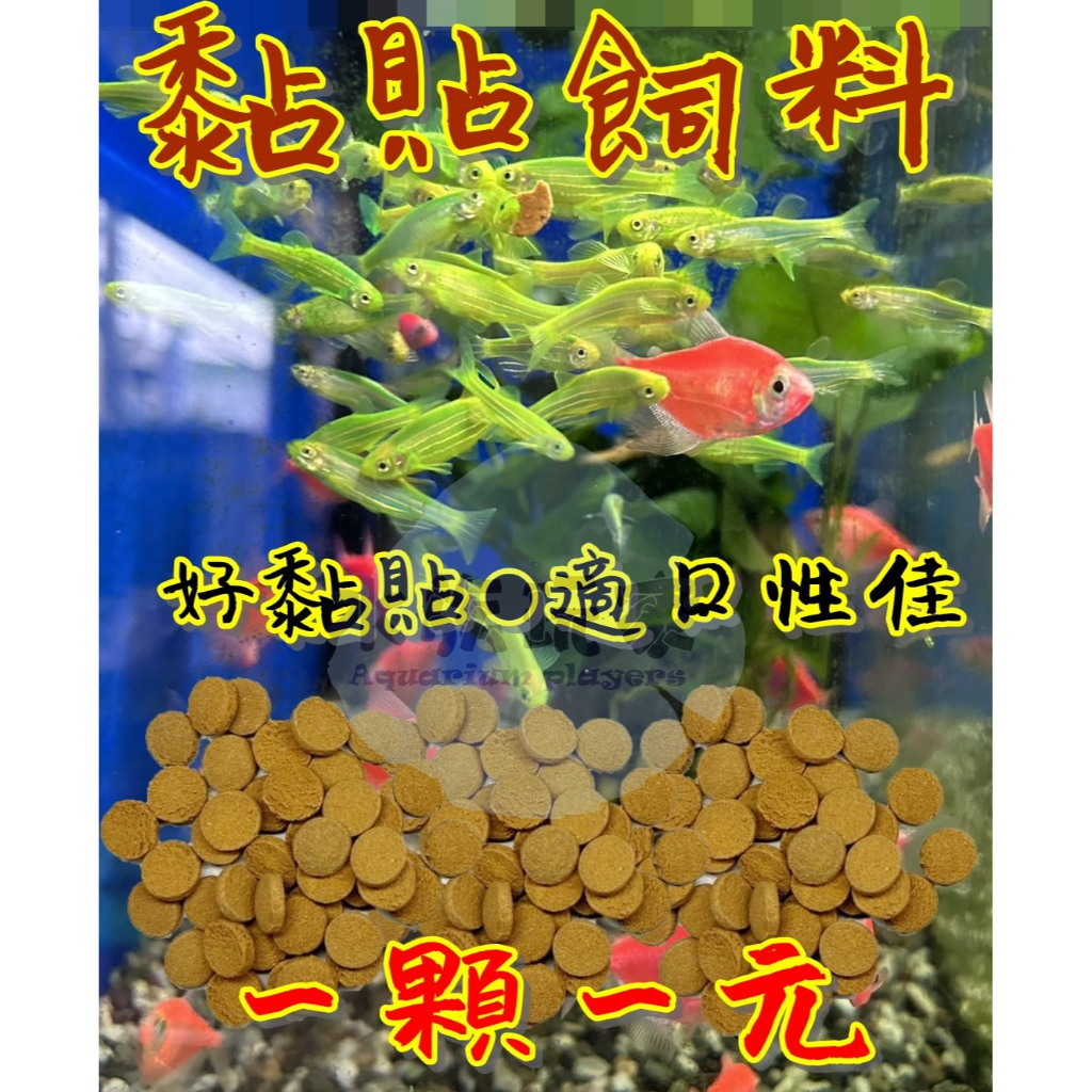 黏貼飼料 小型魚飼料 孔雀魚飼料 燈科魚飼料 沉底飼料 底棲魚飼料 小型魚 孔雀魚 燈科魚 幼魚 小魚 德比克