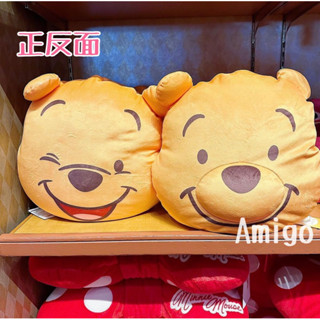 日本 迪士尼樂園 維尼 維尼熊 小熊維尼 超柔軟 頭型 娃娃 玩偶 抱枕 雙面抱枕 頭型抱枕