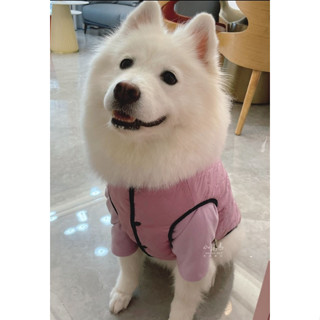【叮咚小舖】現貨!狗衣服/絨毛衣/法蘭絨/珊瑚絨/狗背心/狗毛衣/寵物衣服/狗衣/刷毛T/雙面穿背心