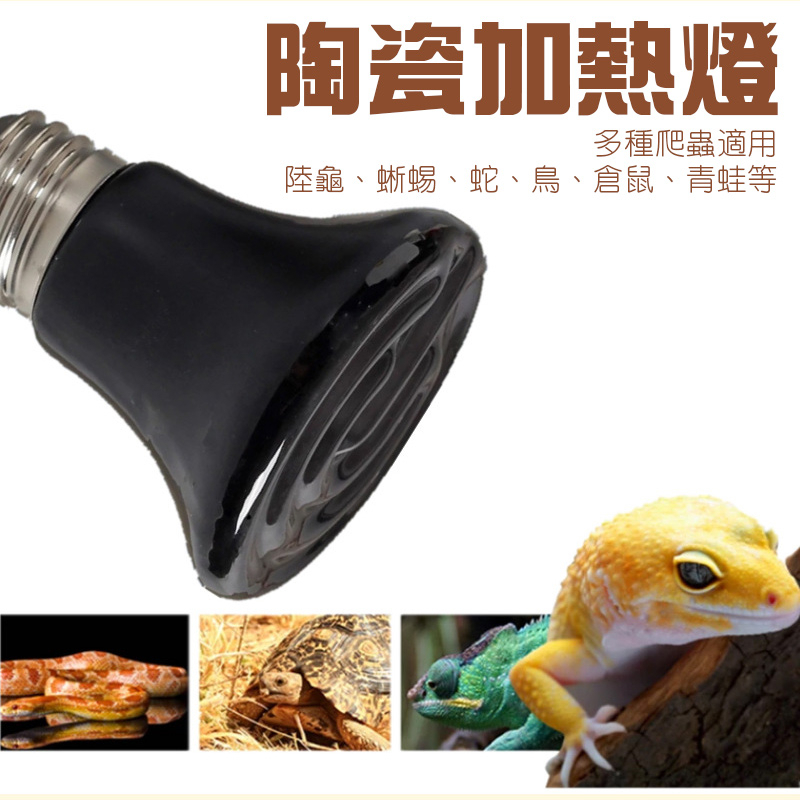 【新上架優惠】迷你陶瓷加熱燈 E27 50/75/100瓦 陶瓷保溫燈  燈泡 鼠兔 鳥 兩棲 爬蟲 陸龜