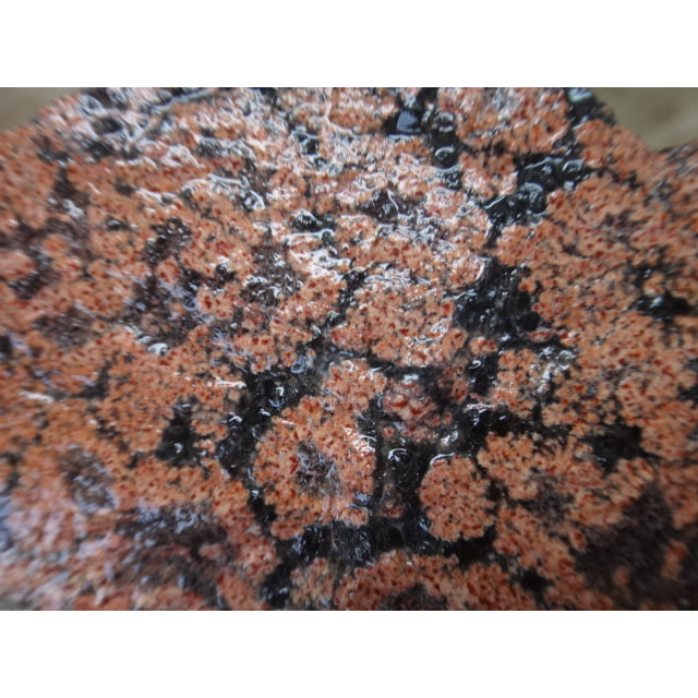 《藍金寶石玉石批發區》→〈原石系列〉→天然彩色雪花菊花紋黑珊瑚玉原礦〈1550公克→BH74