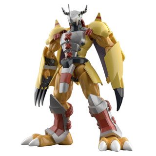 萬代 數碼寶貝 Figure-rise Standard 戰鬥暴龍獸 代理 組裝模型 現貨《動漫貨櫃玩具批發》