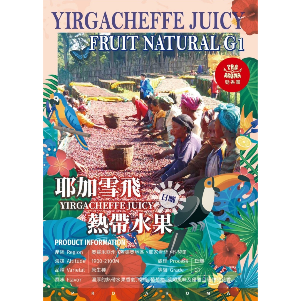 勁香團-(生豆)耶加雪飛 熱帶水果 日曬 YIRGACHEFFE JUICY FRUIT NATURAL G1