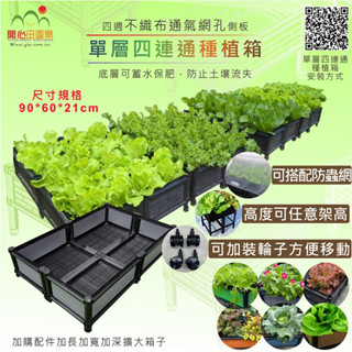 育材種植箱 單層四連通箱 架高一節 防蟲網 種菜 免彎腰組合 種菜箱 組合式種植箱 陽臺種菜 種菜神器