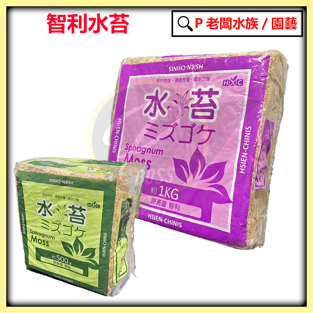 P老闆園藝~智利水苔(水草)500g原裝壓縮包 高壓繁殖 蘭科植物 水草 觀葉植物 育苗育種 水苔 爬蟲 獨角仙 蘭花