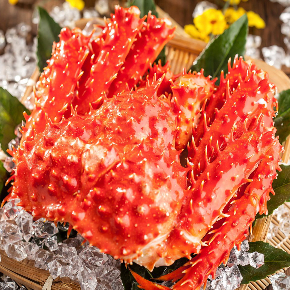 【華得水產】巨無霸智利熟凍帝王蟹1隻(1200-1300g-1400-1500g-1600-1800g/隻)