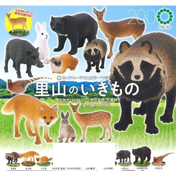 【我愛玩具】 IKIMON (轉蛋)NTC-日本里山生物 全6種整套販售
